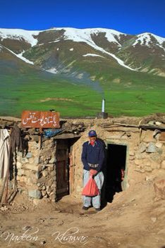 Nazia Jabeen tweet media