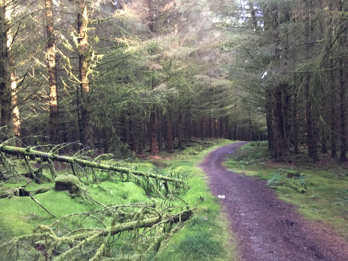 CALL FOR PAPERS. New &amp; Emerging Rural Researchers: Rural Research at a time of transition” <a href="/HannahBudge/">Hannah Budge</a> &amp; I will be co-hosting this friendly &amp; intimate RGS post-graduate session. Deadline 14th March. Any Qs please DM/Email us 😊🌳. <a href="/RGRG/">RGRG</a> <a href="/RGS_IBG/">Royal Geographical Society (with IBG)</a> <a href="/PGF_RGSIBG/">RGS-IBG Postgraduate Forum</a>