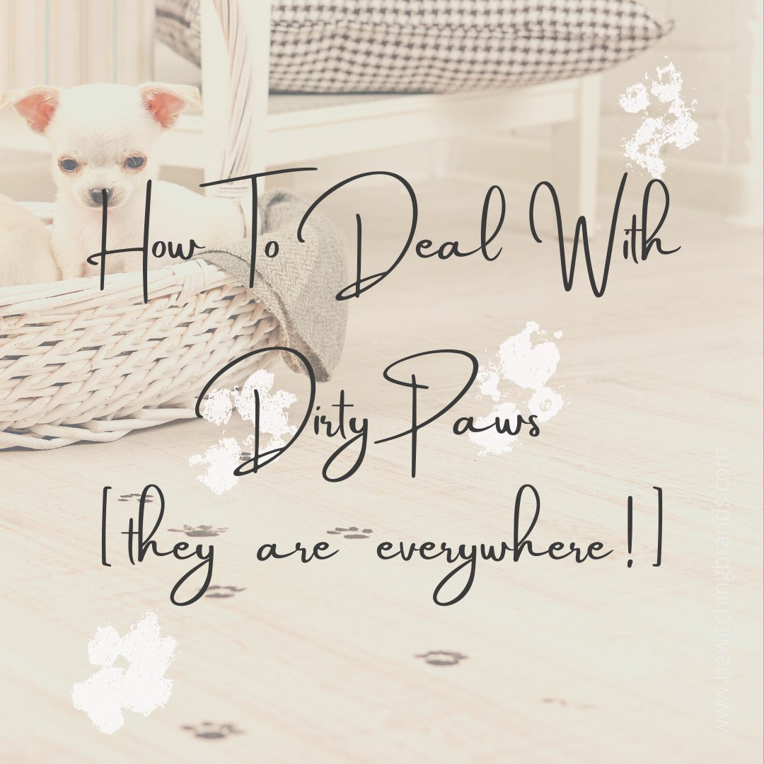 believeinmagicd's tweet photo. I don't know about you but the wet weather is driving me mad. No matter where we walk, or what I do, we still end up with dirty paws. 

How do you deal with them? https://t.co/nF3sV8iPlH
