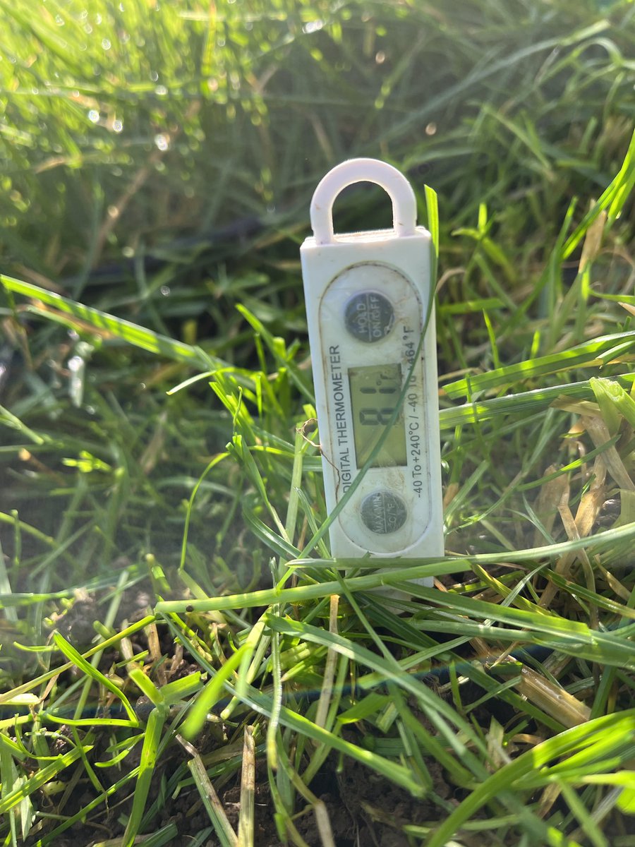 shayesSandra's tweet photo. It’s that time of year, grass farm walks &amp;  lots of calves. @Donalkavanagh4 &amp; I got grass cover of 1095kgsDM/Ha and a growth of 14 from 17th Jan. Slurry at a rate of 2500gal/ac out on 50% of  farm. Soil temp 8.1deg Time 4 cows out! @TeagascSignpost @GlanbiaConnect @TeagascLKMDL https://t.co/5YWbJ41arl