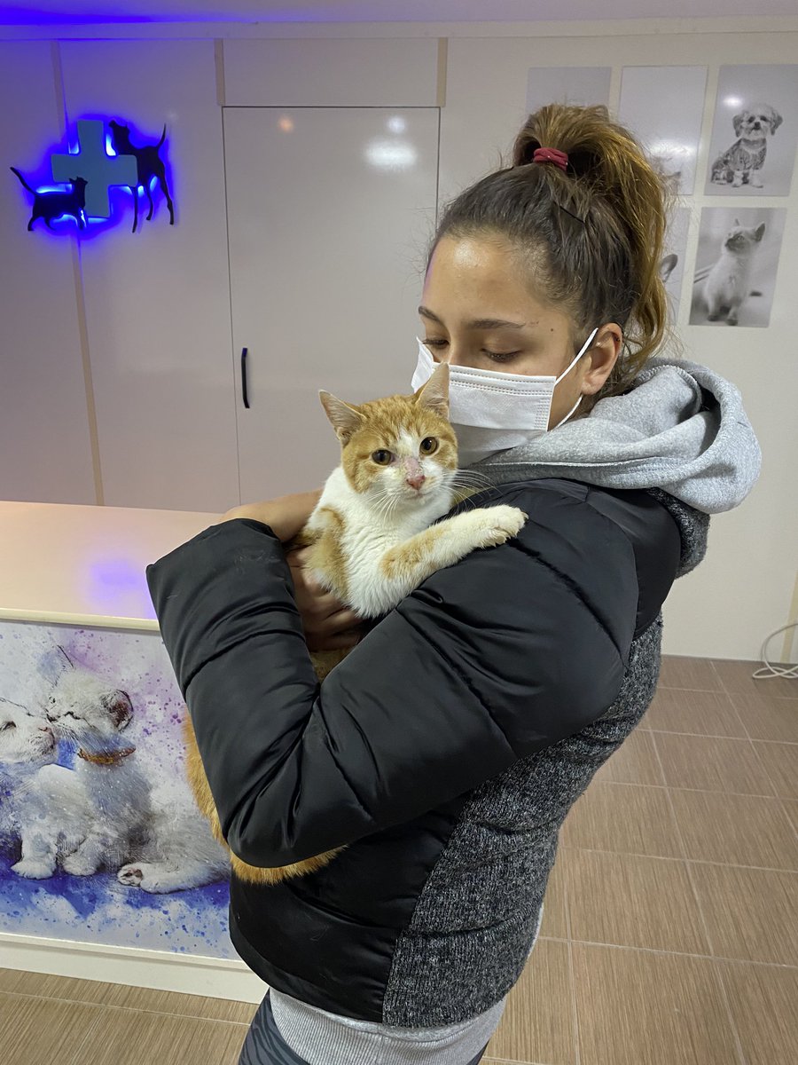 tekirberdus's tweet photo. Yaklaşık iki ay oldu hala klinikte.. tekrar paylaşıyorum. dışarı bırakamıyoruz çünkü çok uysal ve hassas, dayak yiyor aç kalıyor sonucunda da hastalanıyor..  ağlıcam artık bir kişi kucak açsın nolur.. maddi destek de istemiyorum sadece evi olsun klinikte çok mutsuz.. lütfen rt😔 https://t.co/5HvqsdhcGo