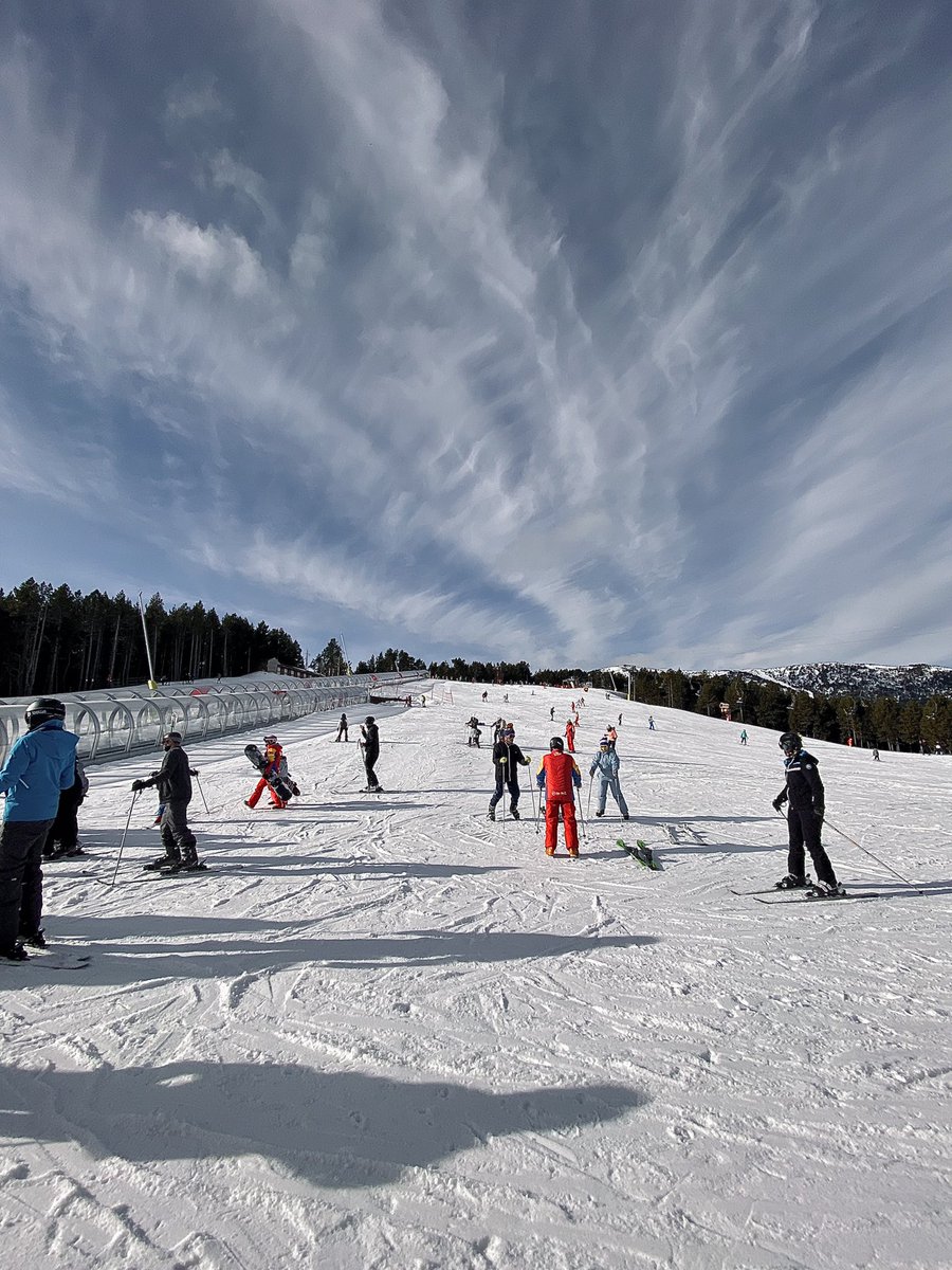 Ariadna Corominas del Hoyo tweet media