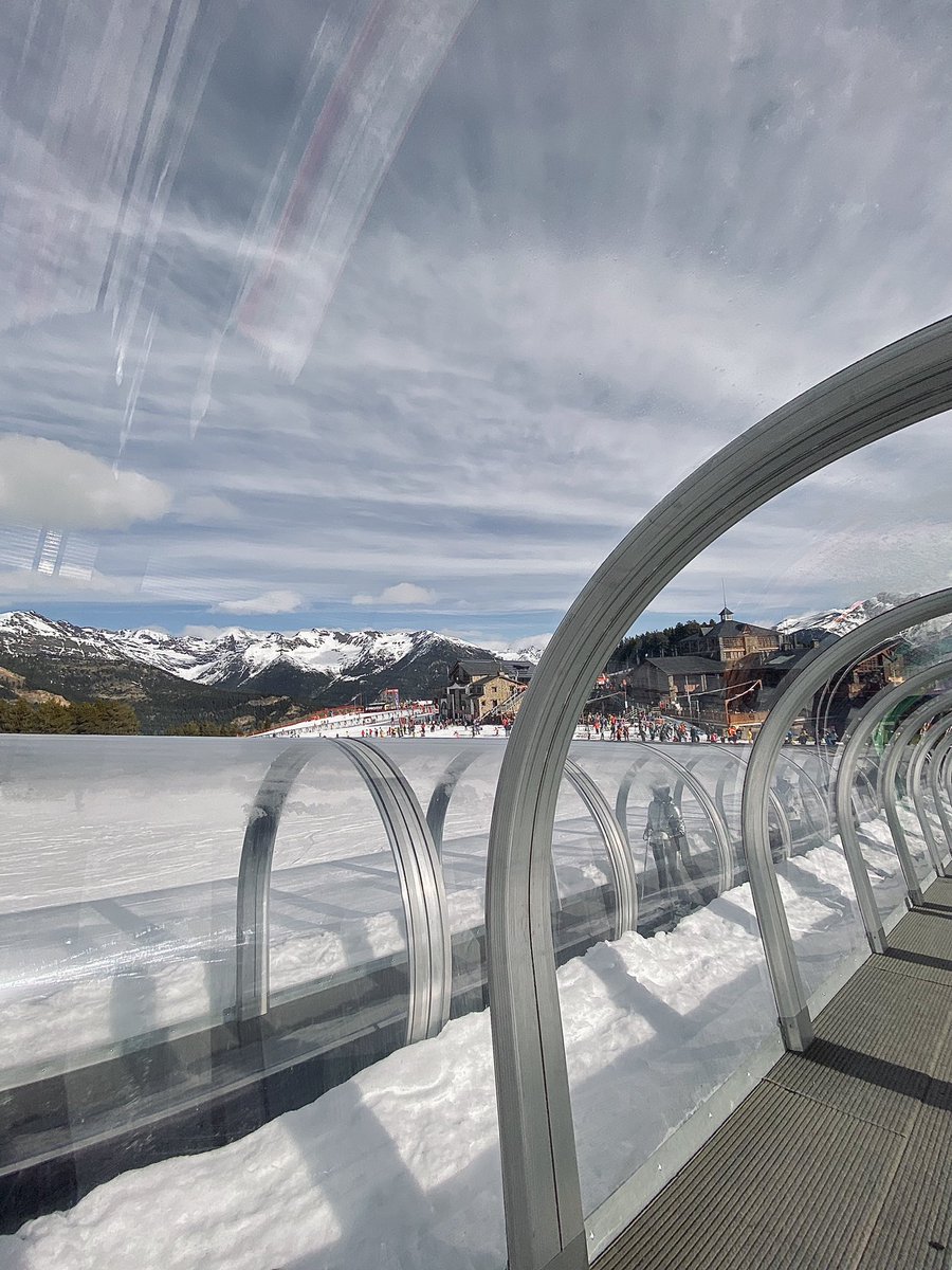 Ariadna Corominas del Hoyo tweet media