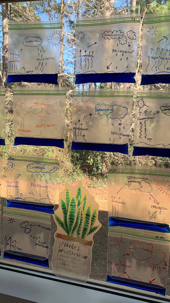 Creative ways to represent the Water Cycle in 5th Grade 💦☁️☀️🌊🌧 @ALSABCombs <a href="/CombsCatchUp/">Combs Catch Up</a> <a href="/wcpssmagnets/">WCPSS Office of Magnet Schools (Choice Schools)</a> @WCPSSElemScie