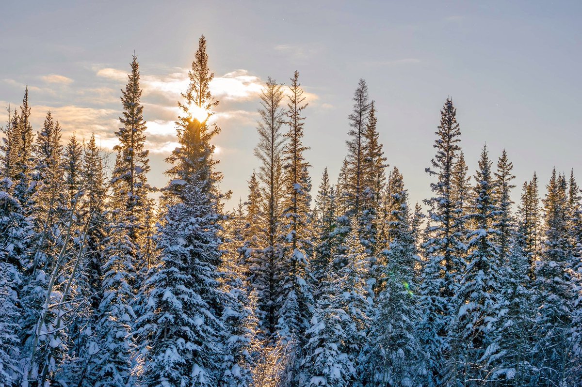 takingthetime2C's tweet photo. A midwinter cold snap in the north can seem like living on the moon with the extreme cold and dark. But then it warms up and you go out and think “Winter sure is beautiful” and seemingly immediately forget about the past weeks on the moon  #SpectacularNWT #ExploreCanada #cbcnorth https://t.co/sq9fADlRHC