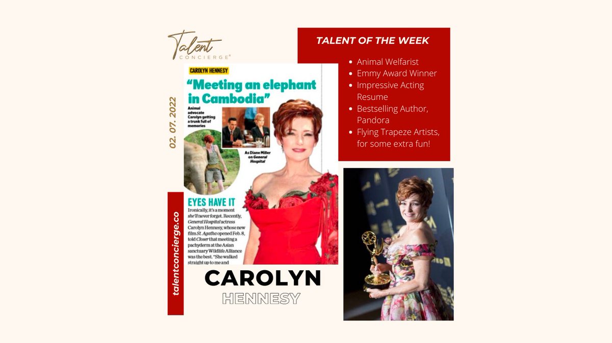 Connie Pheiff tweet media
