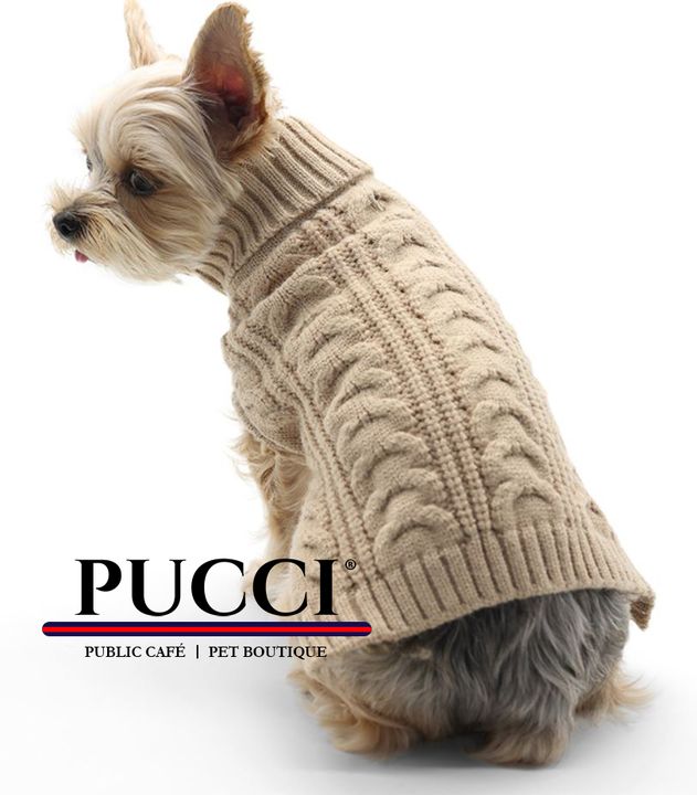 pucci dog clothes