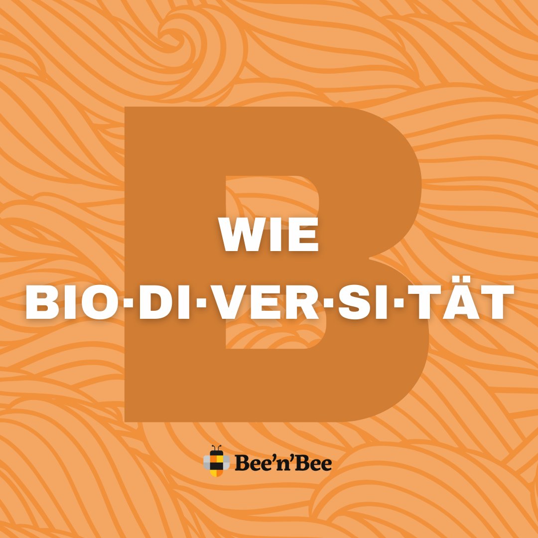 beenbee_ch's tweet photo. Erklär mir mal...

🐝 🌼🐝

#beenbee #crowdfunding #support #biodiversität #biodiversitätschweiz #ökosystem #nachhaltigkeit #natur #naturschutz #umwelt #lebensraum #artenvielfalt #artenreich #artenschutz #tiere #pflanzen #landwirtschaft #schweiz https://t.co/z6FQLVSm7M