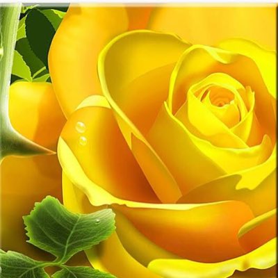 gullsari's tweet photo. #YeniProfilResmi https://t.co/LEuw40jEfX