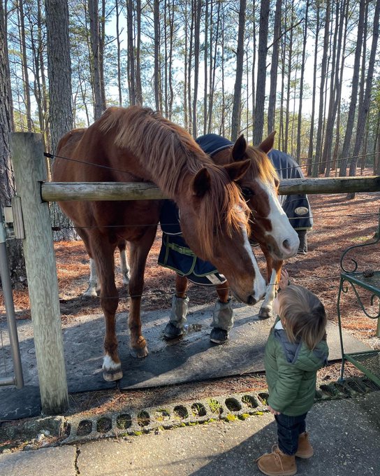 Magic is real. https://t.co/kbyawLpkNf