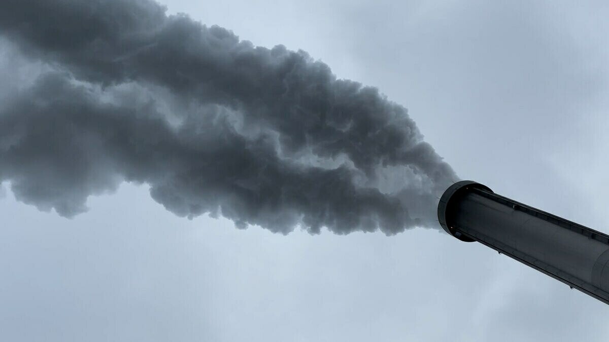 leparisienvideo's tweet photo. VIDÉO. Incinérateur d’Ivry : des taux de dioxines records, y compris dans les oeufs de poule : les riverains «inquiets»
➡️ https://t.co/zhe7SLWW2v https://t.co/yfhSsC2emV