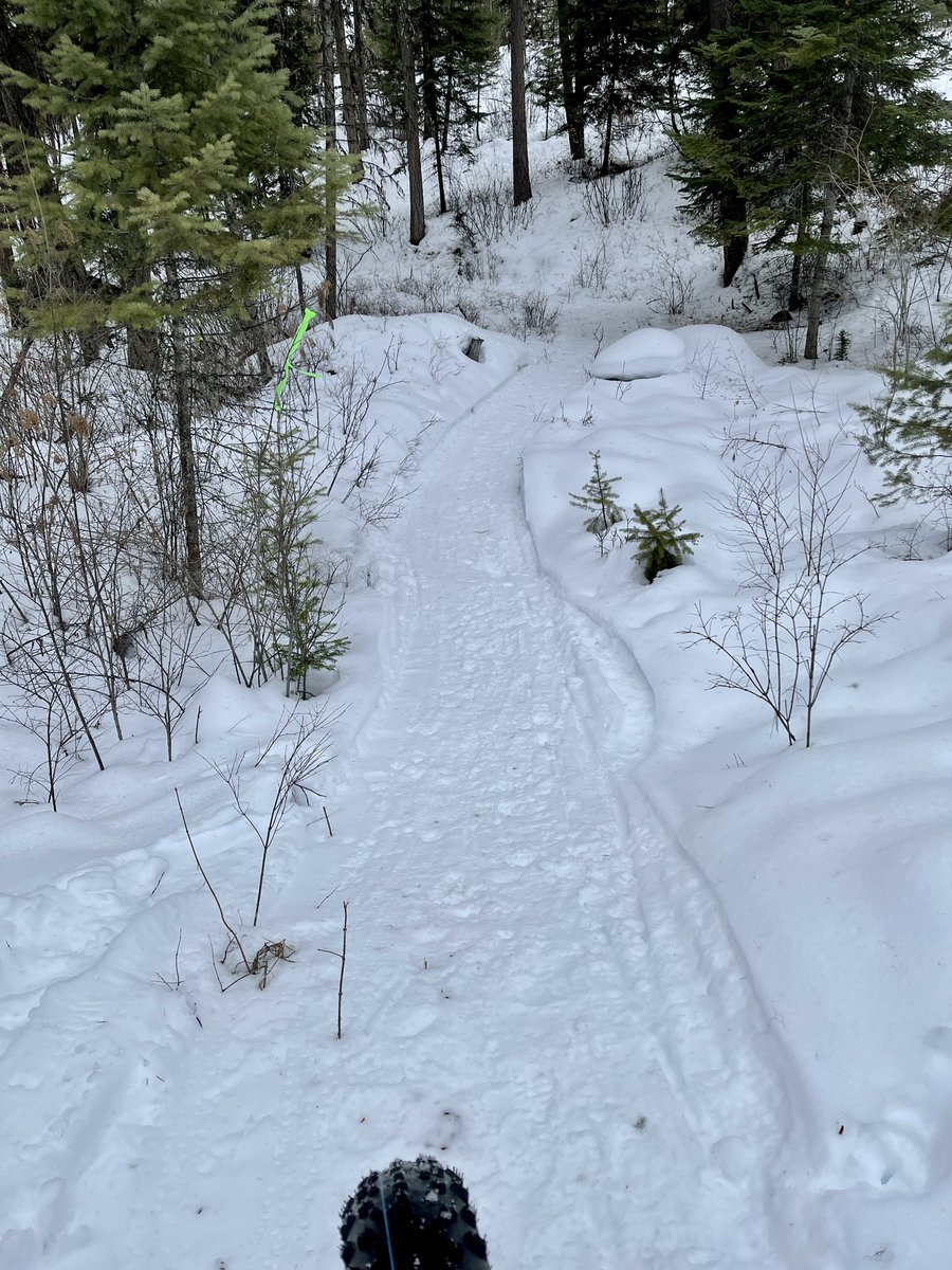 Trail Conditions:
The trails are perfect for fat biking! They are packed firmly. There is a slight crunch on the top of the 33 inch groomed trail that gives your fat tires plenty of grip without the slip! Come on out &amp; enjoy the beauty that nature has to offer! 🚴 🌲 ❄️