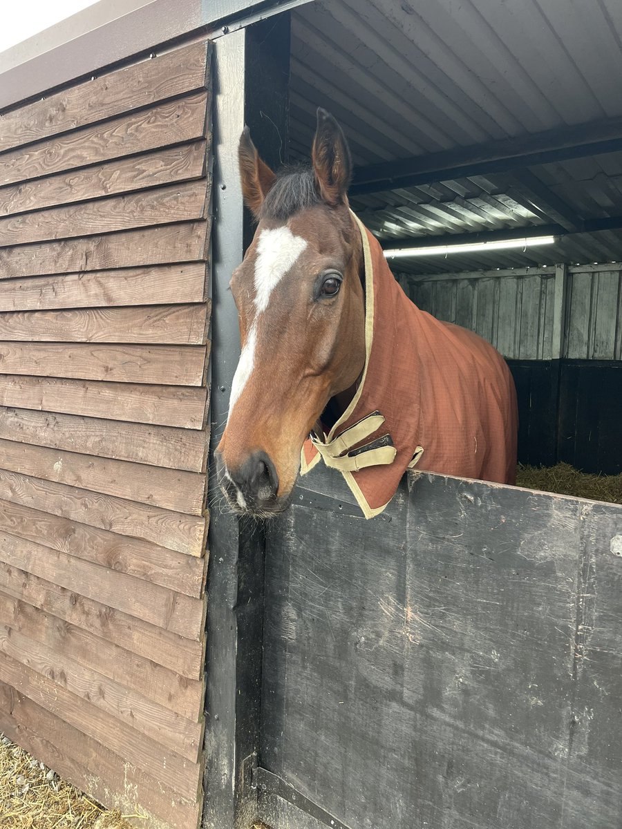 Dialadistance's tweet photo. Keeper Chris is all ok after his fall at @SedgefieldRace  we live to fight another day #warrior #hardasnails https://t.co/6vxSYzVyfk