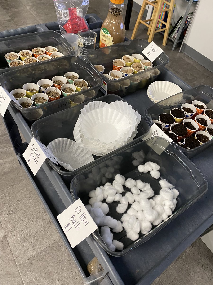LindleyScience's tweet photo. Design a water filter day 1. Groups were given $7 to buy supplies for their filters. #teampaetow #kisdscience #nofilter #diyfilter https://t.co/xEYDKmybmR