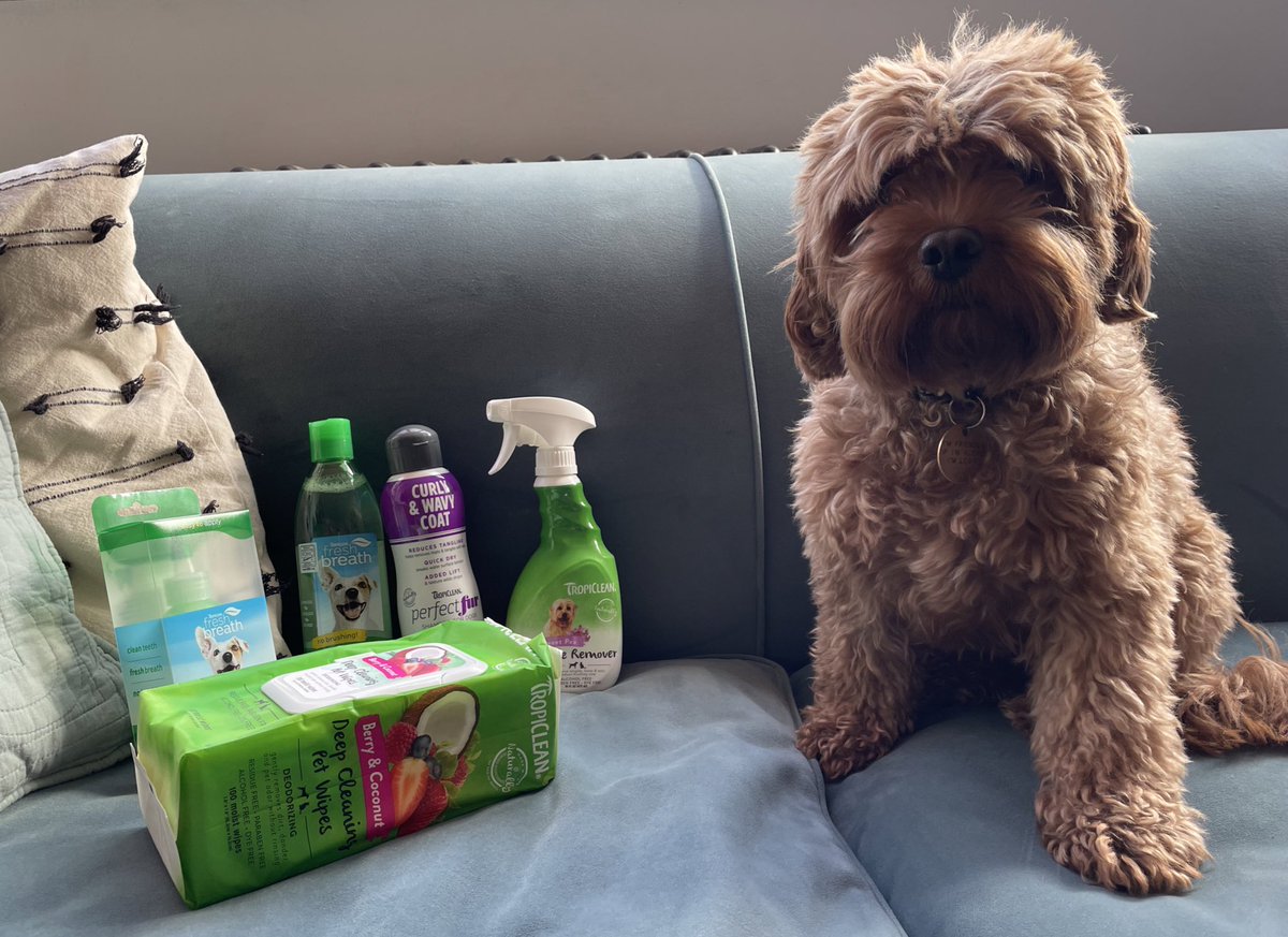 Thank you <a href="/tropiclean/">TropiClean Pet</a> for our grooming and dental products to try out on Otto! Can't wait to show off the results 💚🌴🥥