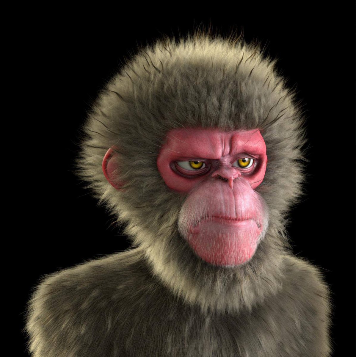 Ape 4.0 tweet media