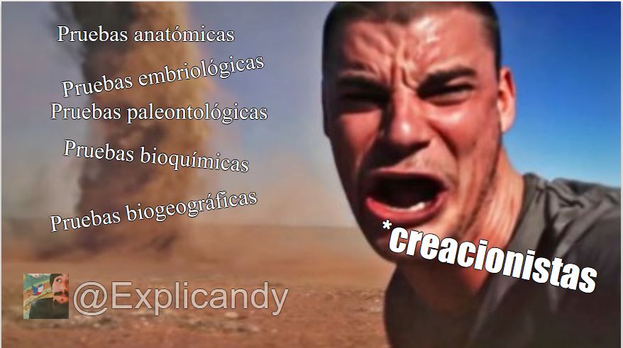 Explicandy's tweet photo. ¿Tenemos alguna evidencia de la teoría de la  evolución?

Alguna no, tenemos MUCHAS.

Abro hilo... https://t.co/ZFoebuni4y