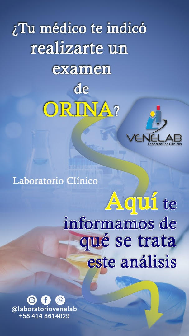 PableOstos's tweet photo. #NadaQueVerConNoticias 
¡Laboratoriovenelab es tu laboratorio de confianza!🥼

🔬Hematología completa 
🔬Pruebas especiales 
🔬Marcadores tumorales 
🔬Pruebas de #COVID19 
🔬Toma de muestras a domicilio y mucho más

📝Solicita tu presupuesto por el 0414-8614029
📍Alta Vista Sur https://t.co/2EahP5Mkot