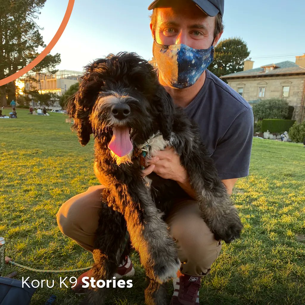 KoruK9's tweet photo. Basic training for Frankie was important to Charles so Frankie would have a foundation of structure and obedience. The training is continuous but, thanks to Koru, Charles and Frankie got a great start. 

Koru K9 puppy training is designed to get your puppy off on the right paw. https://t.co/XKsMWxPGEK