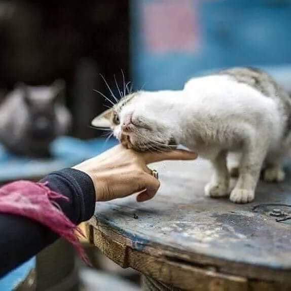 ''Kalbiniz güzel olsun, gerisi hallolur.''