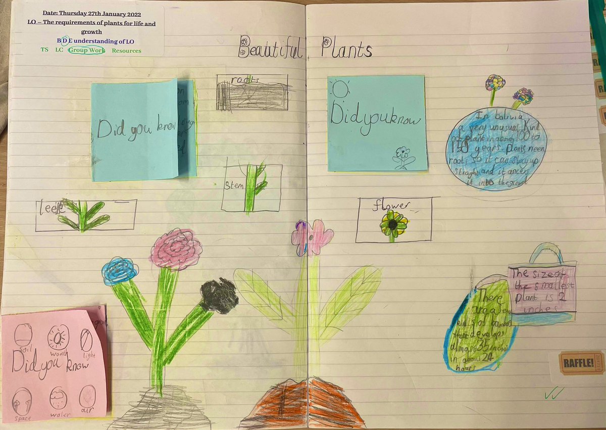 MissBowenGreen1's tweet photo. In 3A, we enjoyed researching all about plants and what they need in order to survive 🌷🌿🪴 Just look at these wonderful double page spreads to showcase our learning! 🤩 @BramleyJunior #bsjscience https://t.co/18pB87lFTK