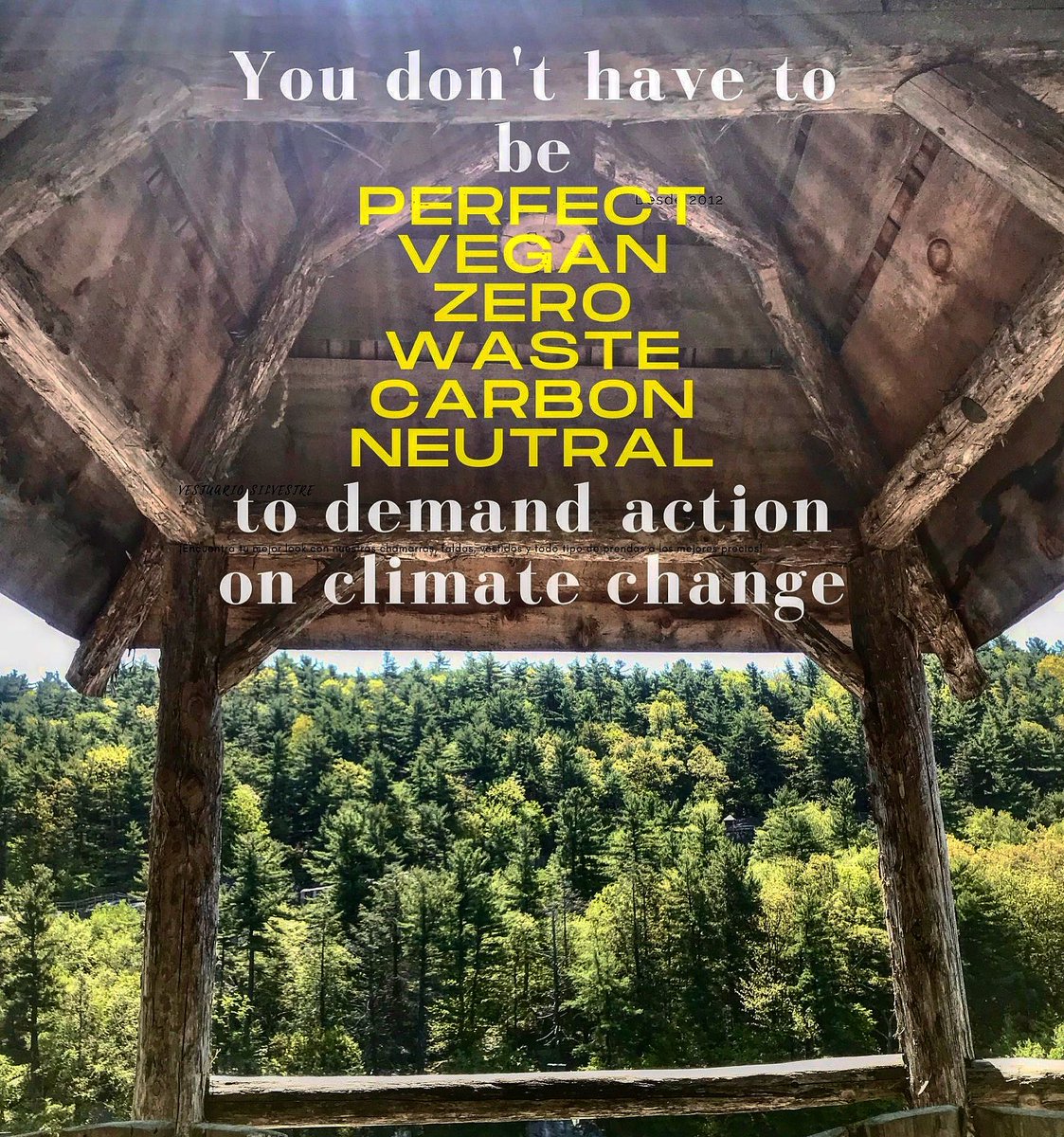 duque_d's tweet image. 