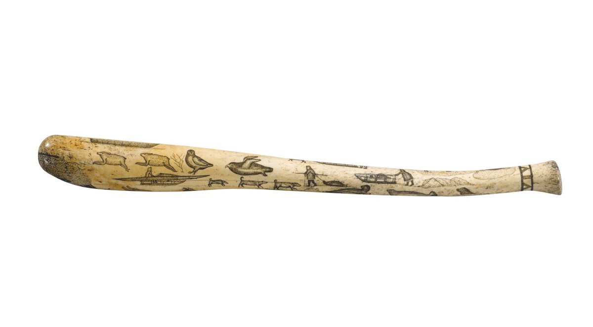 ANC_Historian's tweet photo. 20th century scrimshawed walrus oosik (aka baculum, aka penis bone). Most likely carved by an Alaska Native artisan for tourists. This example sold for $5,292 at Sotheby's this year. #alaskahistory #oosik https://t.co/VRCgp2zeGy