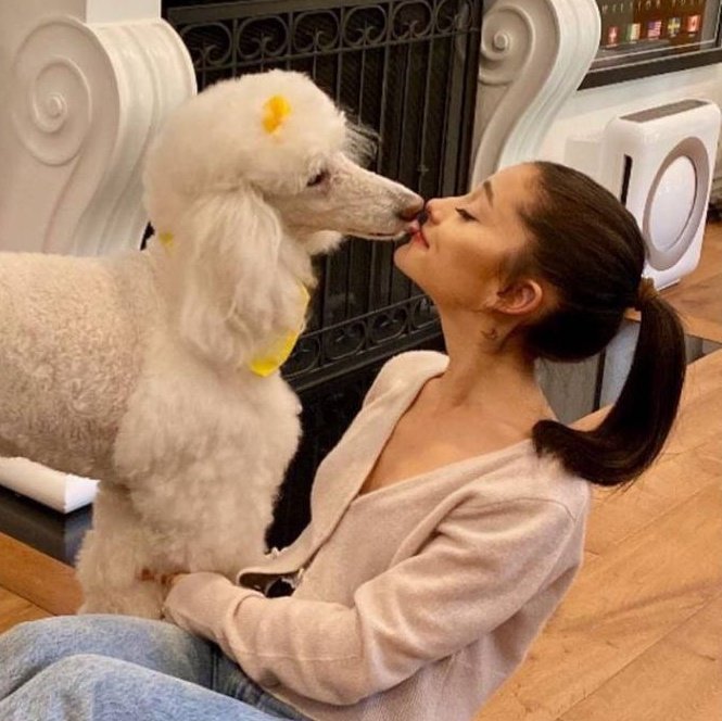 LSGRNDE's tweet photo. — with puppies 🐩🐕 https://t.co/i8PmeBDSnl