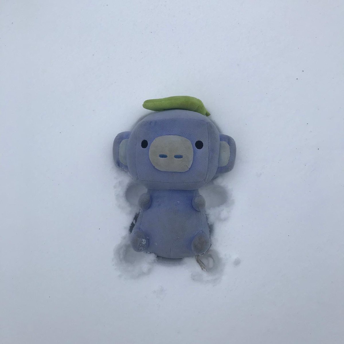 discord's tweet photo. if wumpus made a snow angel would it be like this or this https://t.co/DL8EFkWjxb
