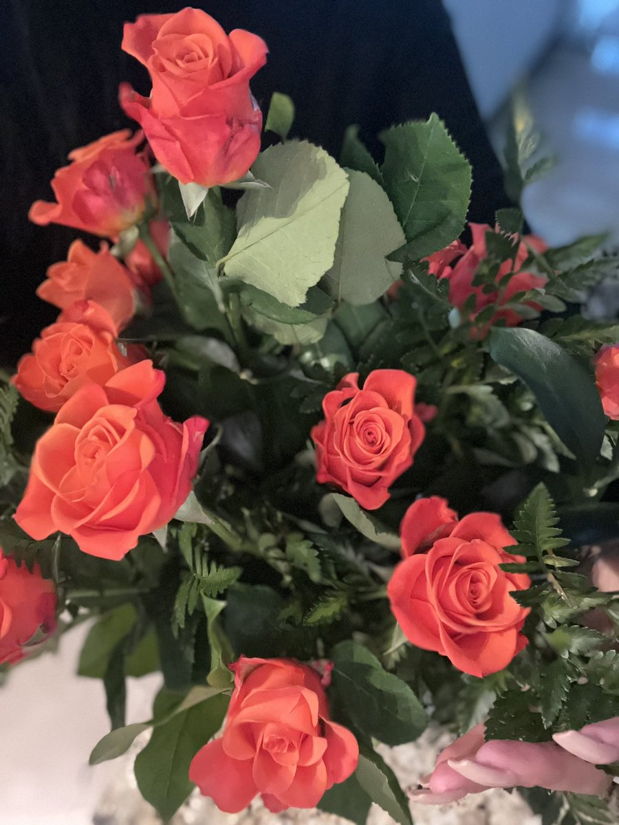 ilarasa's tweet photo. My hot lunch date brought me the most beautiful bouquet of roses 🌹 #miamidating https://t.co/46hQMRgBFP