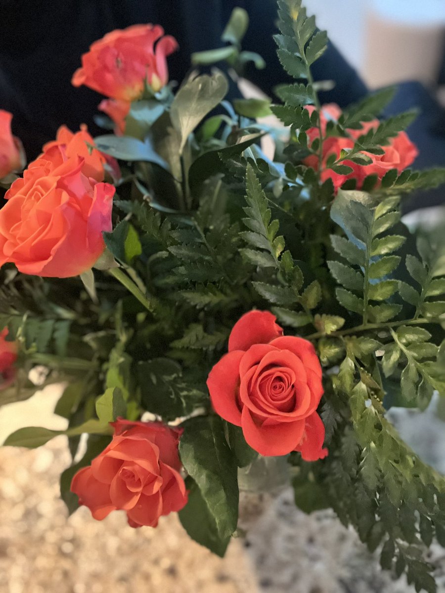 ilarasa's tweet photo. My hot lunch date brought me the most beautiful bouquet of roses 🌹 #miamidating https://t.co/46hQMRgBFP