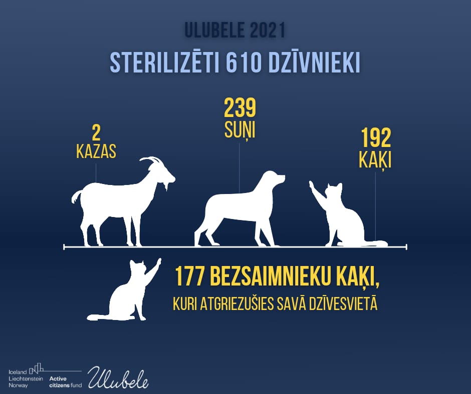 Ulubele's tweet image. Ulubele 2021gads:
🐾ir grūti, jo jāpalīdz tik daudziem,ja variet, atbalstiet🙏❤ :ulubele.org/atbalsts/
🐾 pašvaldības neapmaksā dzīvnieku ārstēšanu un dzīvnieku sterilizāciju patversmēs, tikai 1. un pēdējo palīdzību😪
🐾nokill patversme sīkāk ulubele.org/dzivnieku-apri…
Paldies☀️