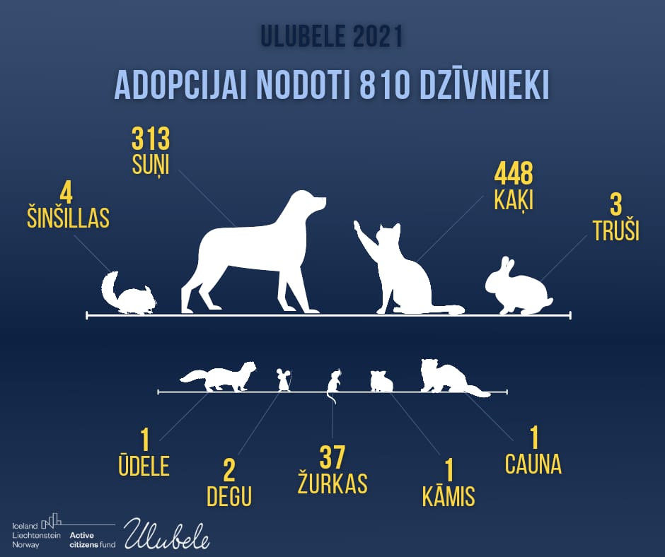 Ulubele's tweet image. Ulubele 2021gads:
🐾ir grūti, jo jāpalīdz tik daudziem,ja variet, atbalstiet🙏❤ :ulubele.org/atbalsts/
🐾 pašvaldības neapmaksā dzīvnieku ārstēšanu un dzīvnieku sterilizāciju patversmēs, tikai 1. un pēdējo palīdzību😪
🐾nokill patversme sīkāk ulubele.org/dzivnieku-apri…
Paldies☀️