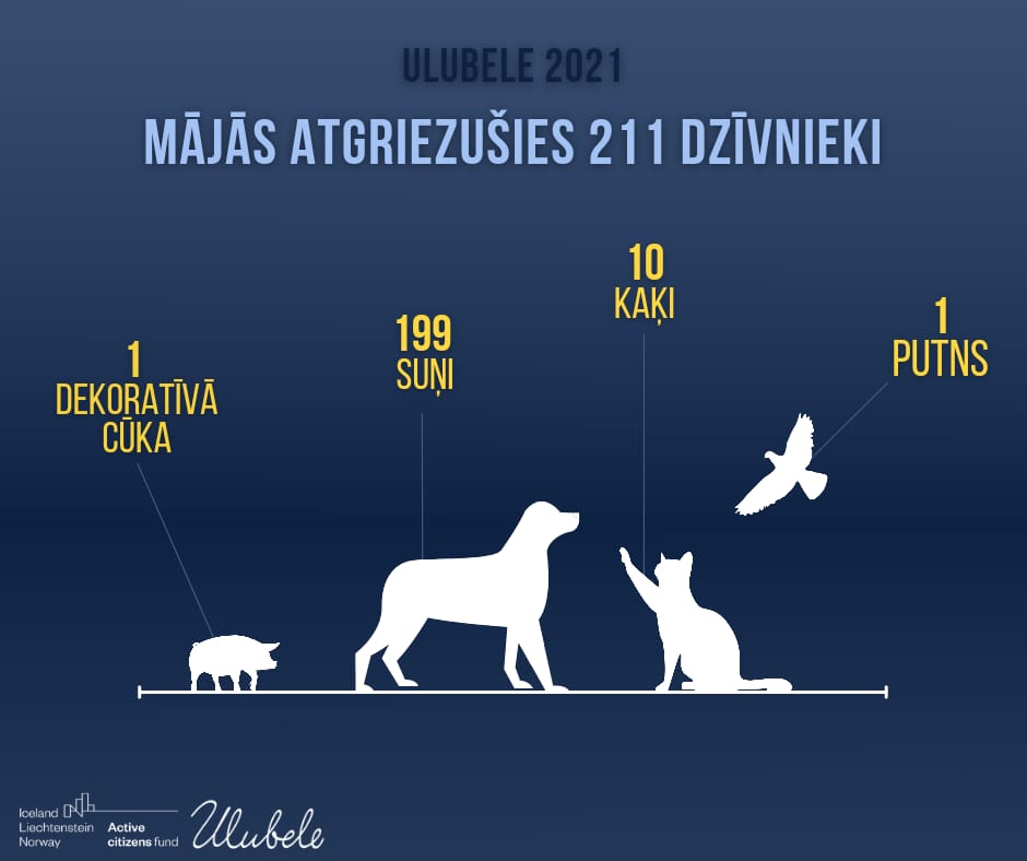 Ulubele's tweet image. Ulubele 2021gads:
🐾ir grūti, jo jāpalīdz tik daudziem,ja variet, atbalstiet🙏❤ :ulubele.org/atbalsts/
🐾 pašvaldības neapmaksā dzīvnieku ārstēšanu un dzīvnieku sterilizāciju patversmēs, tikai 1. un pēdējo palīdzību😪
🐾nokill patversme sīkāk ulubele.org/dzivnieku-apri…
Paldies☀️