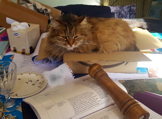 BinstedVillage's tweet photo. Helping with analysis of National Highways consultation documents #SaveBinsted #ArundelBypass https://t.co/vVkEA4D44n