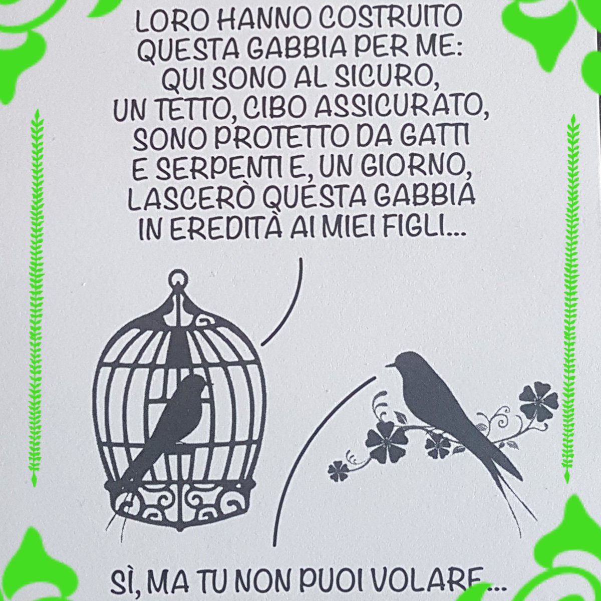 MPsicoterapeuta's tweet photo. #paura #libertà #gabbia #volare #comfortzone #sperimentare #consapevolezza #responsabilità #tradizioni #cambiamento #psicologia #psicoterapia #psicoterapiadellagestalt #gestalt #percorsopersonale #crescitapersonale #curadisè #prendersicura https://t.co/GG1pwWPGQA