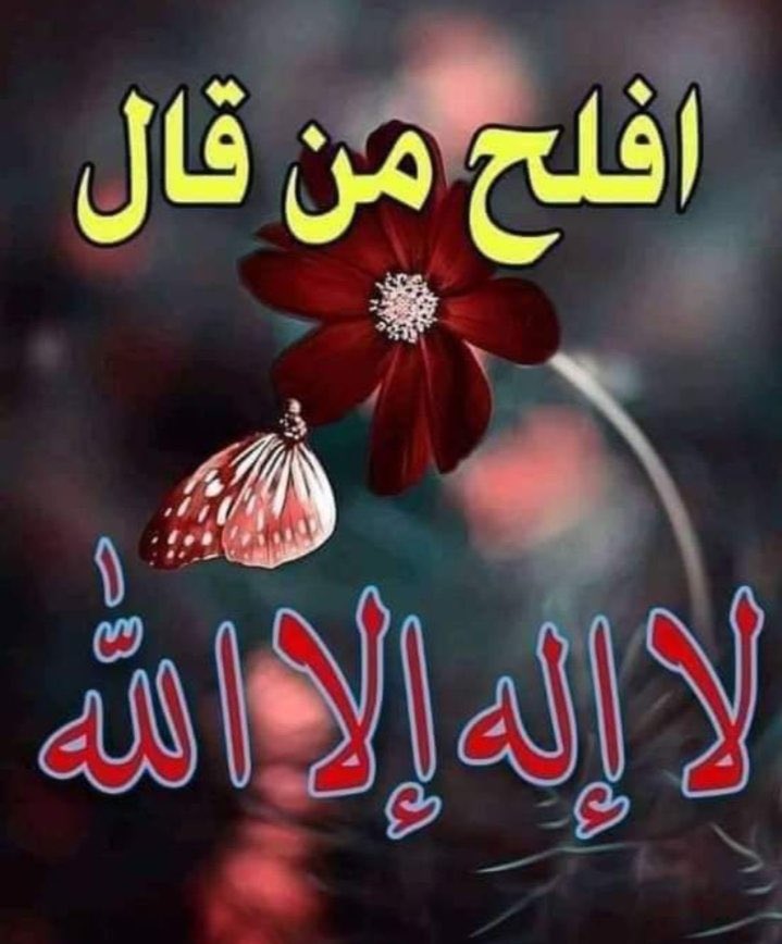نفوس tweet media