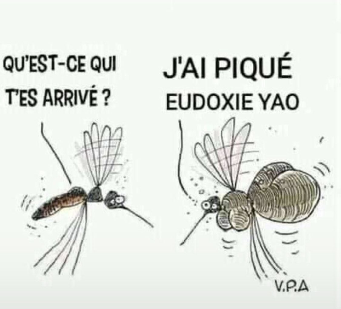 be_electra's tweet photo. Mon chère 😂 https://t.co/5QKbdV7lFu