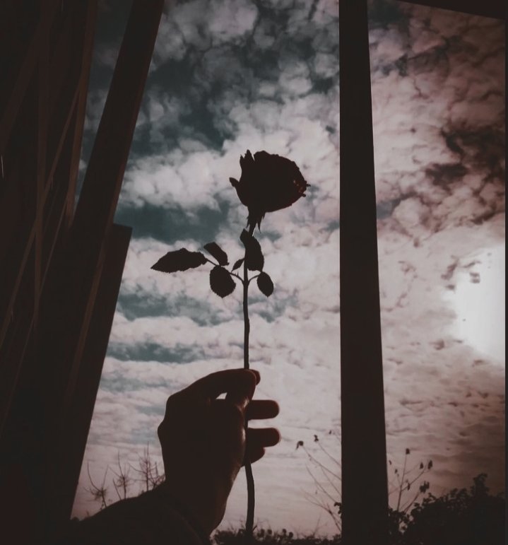 Nononun1's tweet photo. Kukira butuh healing
Ternyata butuh Allah in everything 🌹 https://t.co/tIUFEqNuxo