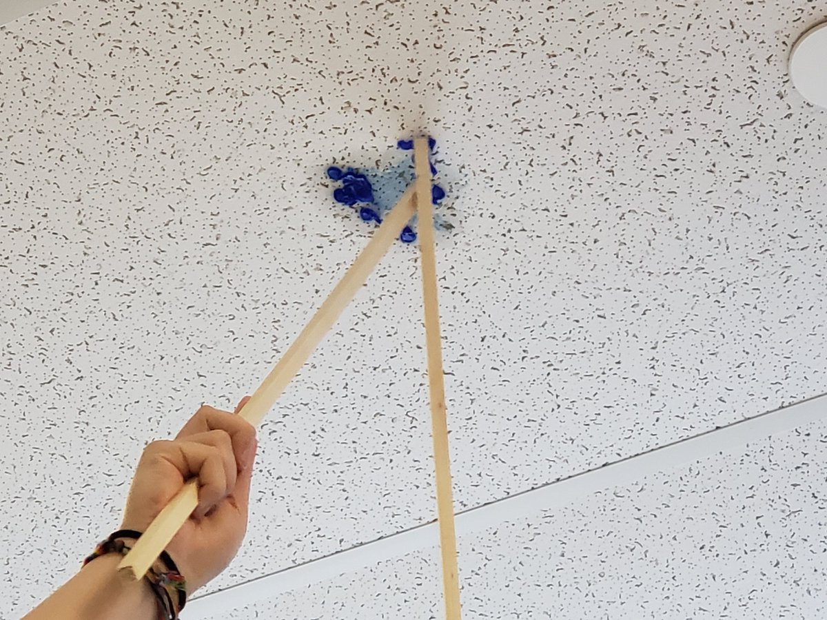 Katherine MacLean tweet media