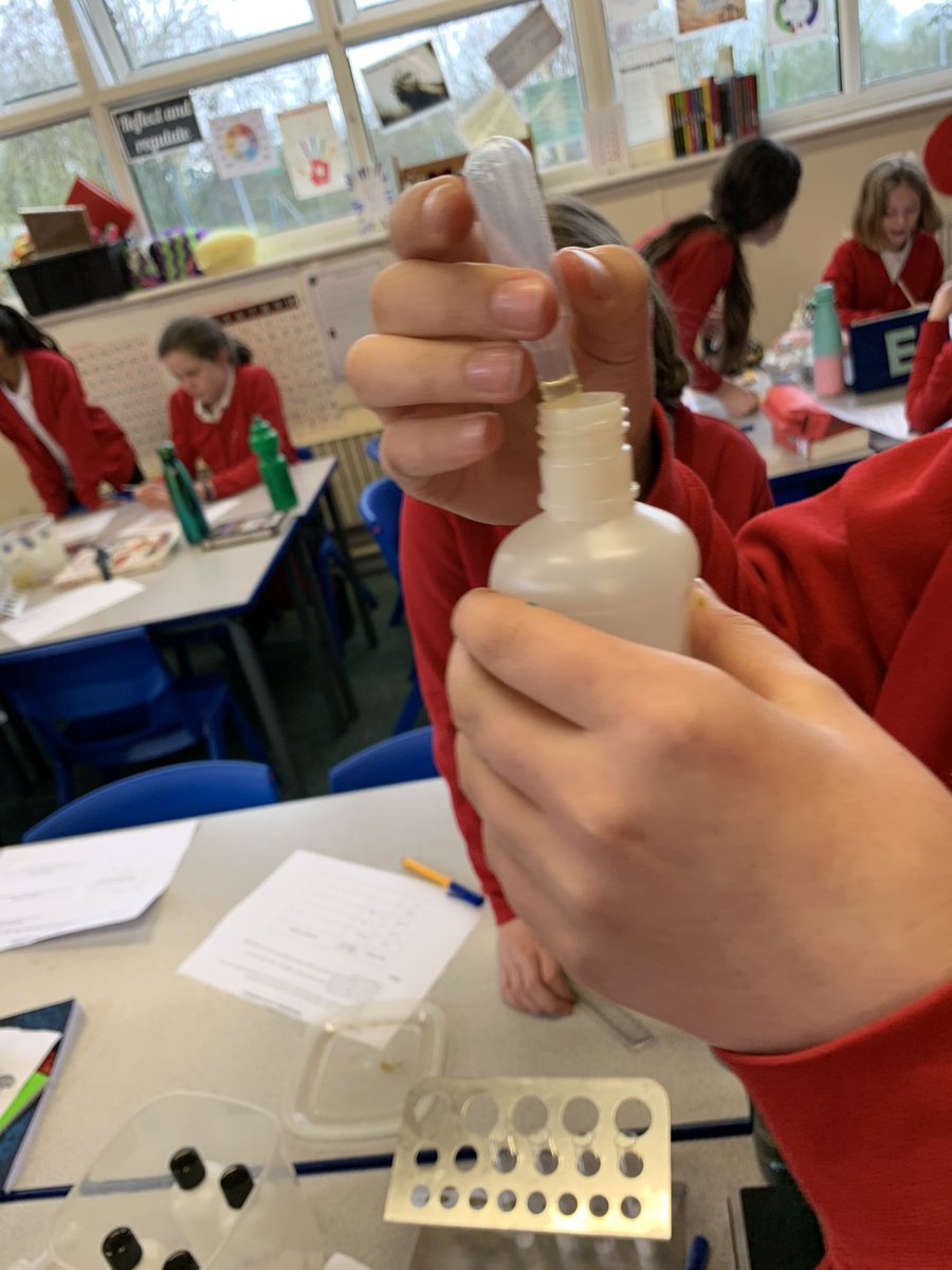 AllRangemore's tweet photo. Class 4 loved their science session with Mr Heath from @SCIENCEatJTHS today. Such a great preparation for transition to KS3 and inspiring scientists of the future too  #jtmat https://t.co/y1hjyKWSmD