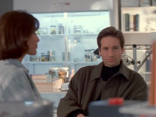 this is the worst news he’s heard since he found out his name is fox