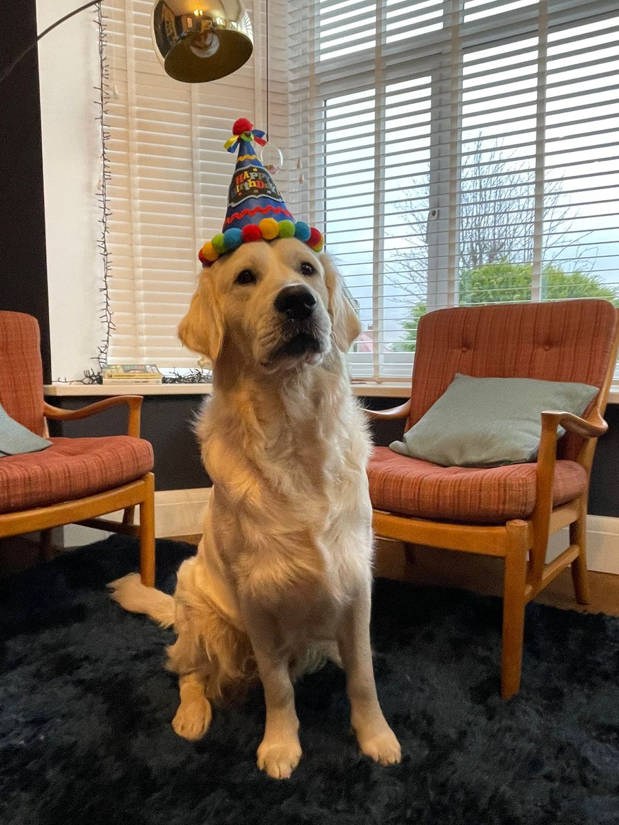 craigdrew75's tweet photo. Happy 1st Birthday to this handsome chap! https://t.co/xSbpGXV3h3
