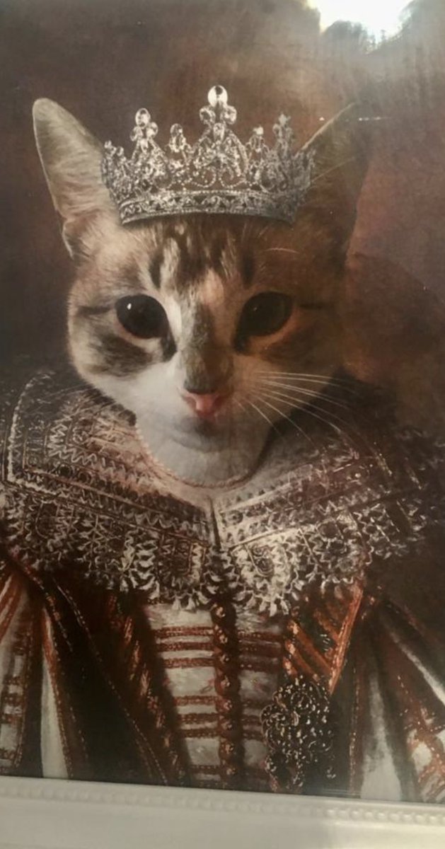 BooBunty's tweet photo. @elizabday Me as a queen 👸 https://t.co/nmcnoeqZZy