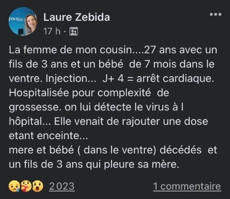 sergio-dde🐭🐞 tweet media