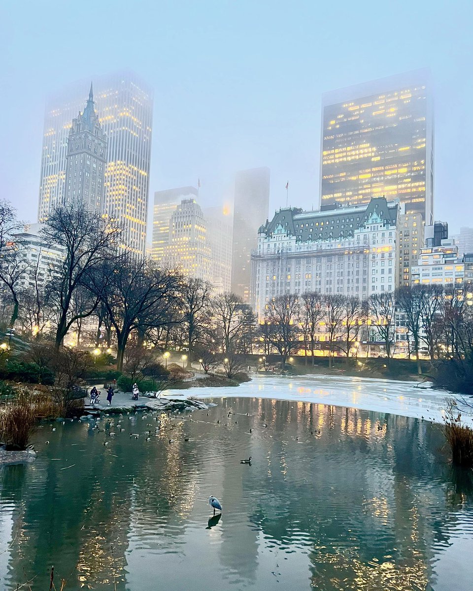 BehindTheBrand's tweet photo. My walk the other night felt like a dream. It’s never not a beautiful time for a walk outside @CentralParkNYC . #getoutside #walkwithwalsh #walkyourcalm https://t.co/TL8uI99LFN