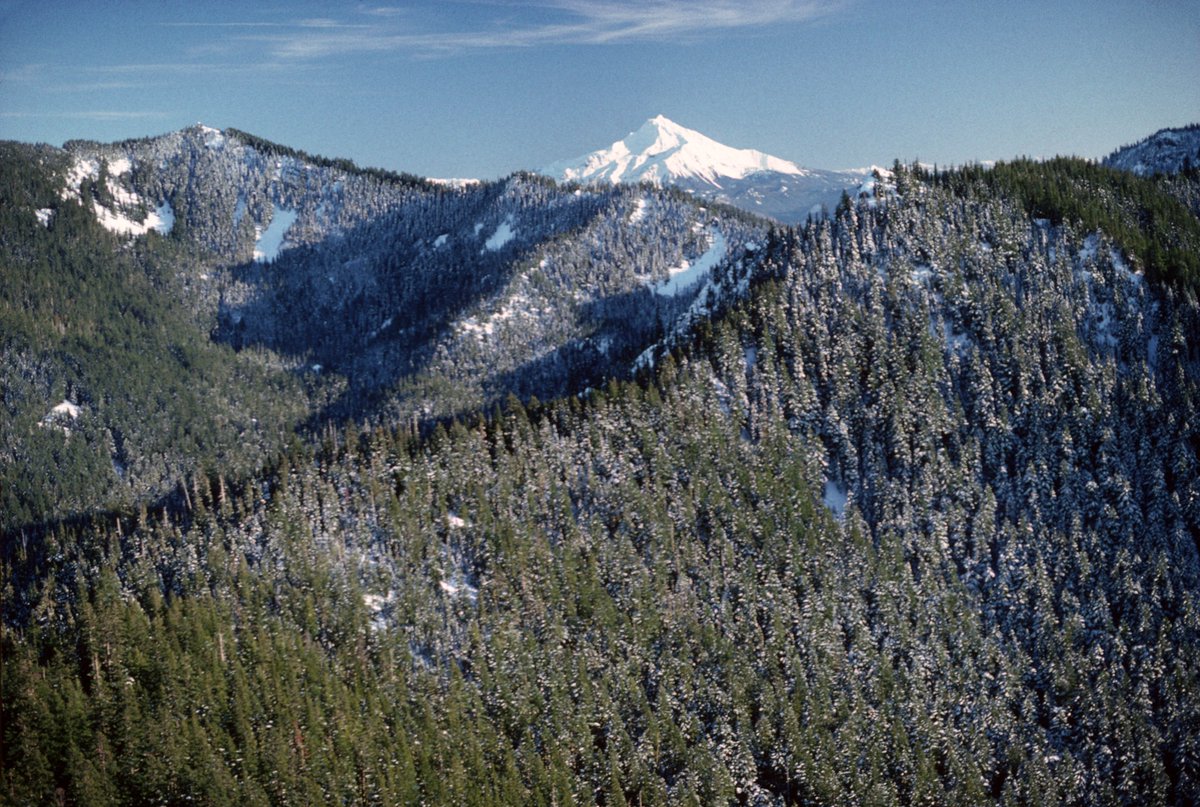 ForestServiceNW's tweet photo. “The clearest way into the Universe is through a forest wilderness.”

—John Muir https://t.co/kurFu7pGK1