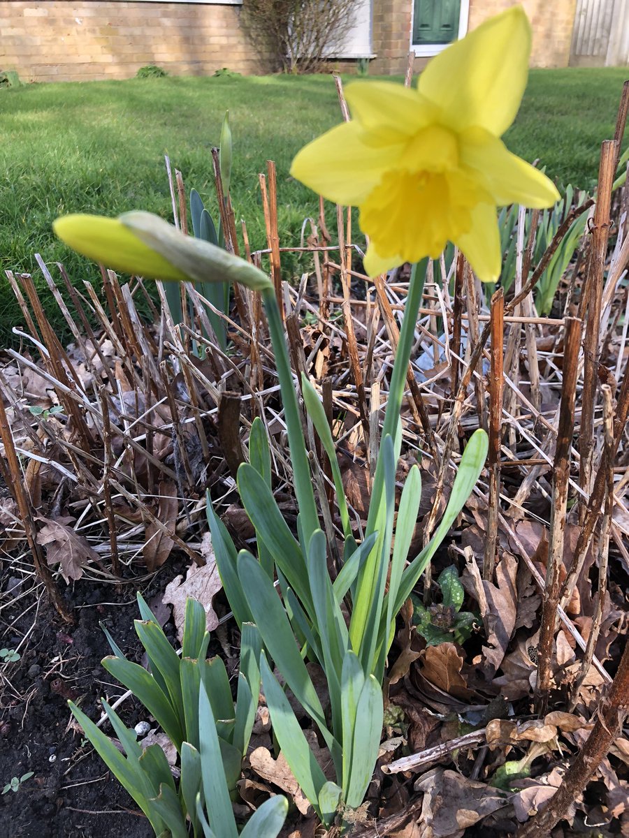 Dr. Dawn Foster tweet media