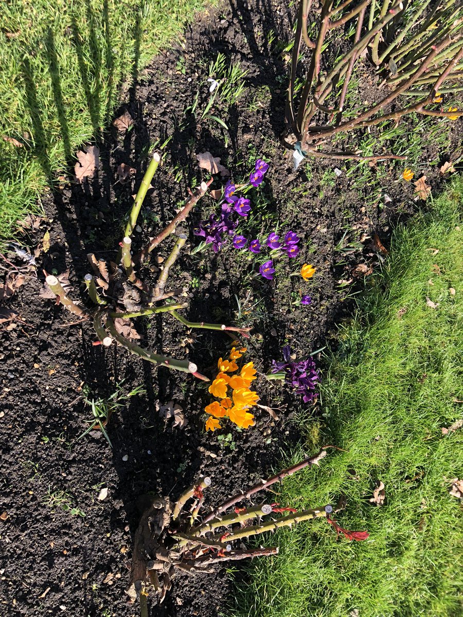 Dr. Dawn Foster tweet media