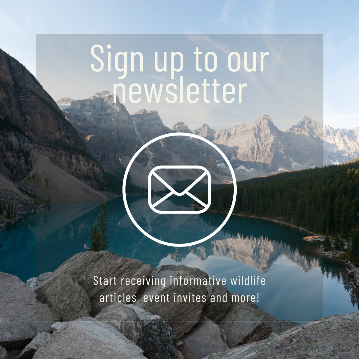 nwpsHQ's tweet photo. Join our community 📩

Sign up to our #newsletter to start hearing about upcoming events, ways you can support our work and of course - cool #wildlife facts!

We’re looking forward to having you. Thank you for your support! 👉 Sign up here: https://t.co/1mV0HN1uU5 https://t.co/mu8nKgn76g
